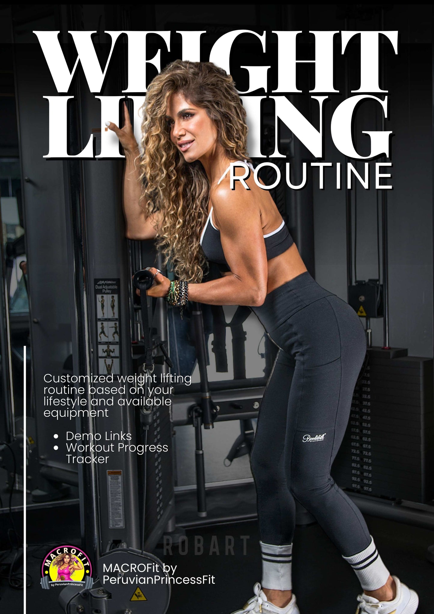 Customized Weight Lifting Routine (one-time-plan)